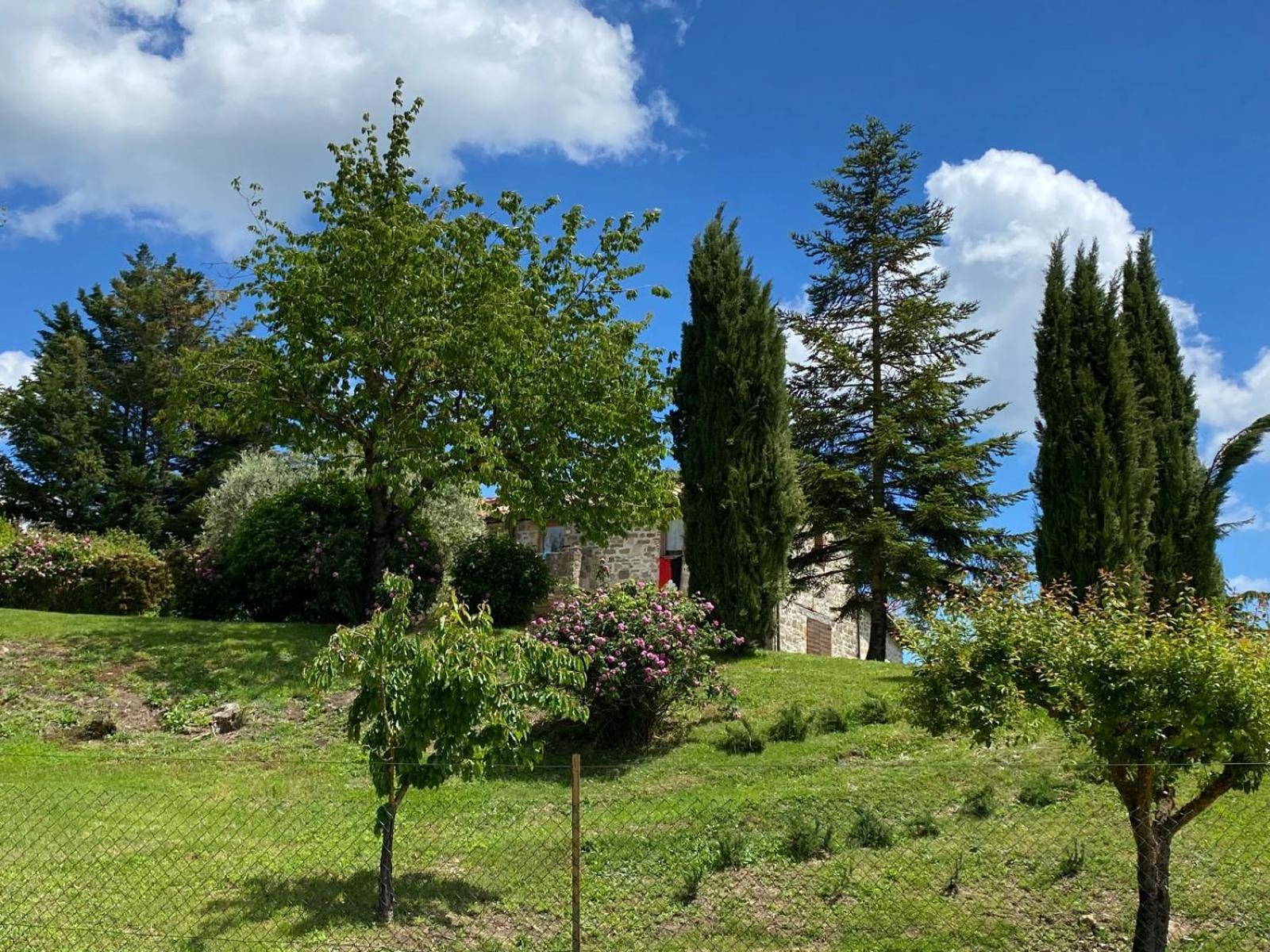 Pilgrim Rooms Gubbio Exterior foto