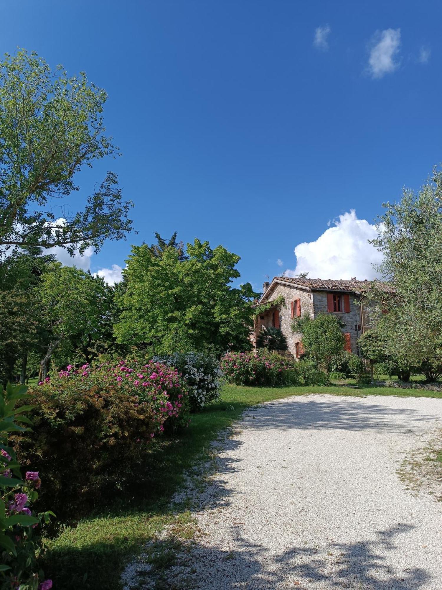 Pilgrim Rooms Gubbio Exterior foto